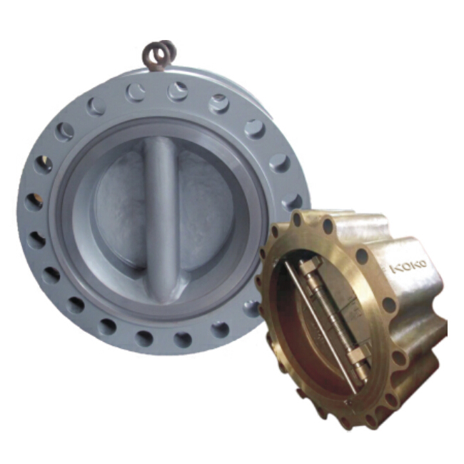 DUAL PLATE CHECK VALVE